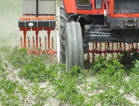 Crust Breaker A.S.R.