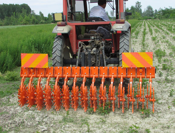 Crust Breaker A.S.R.